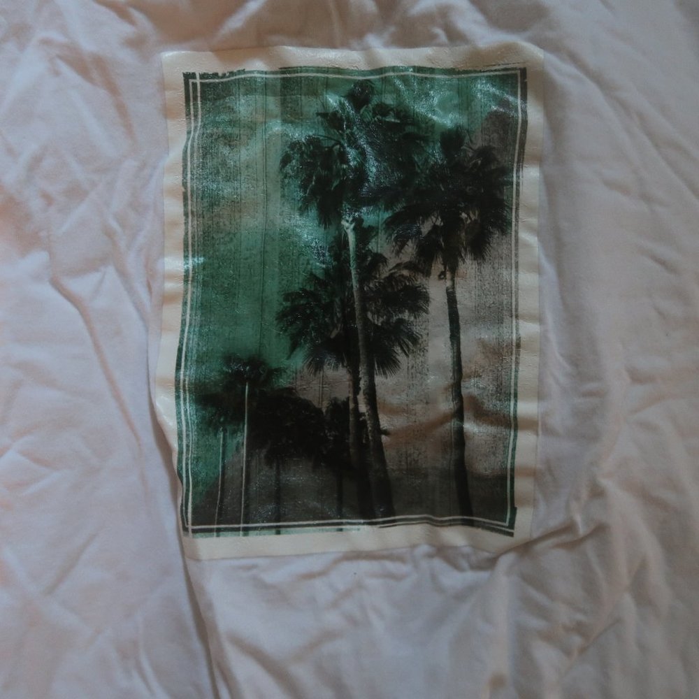 Palm Tree Print